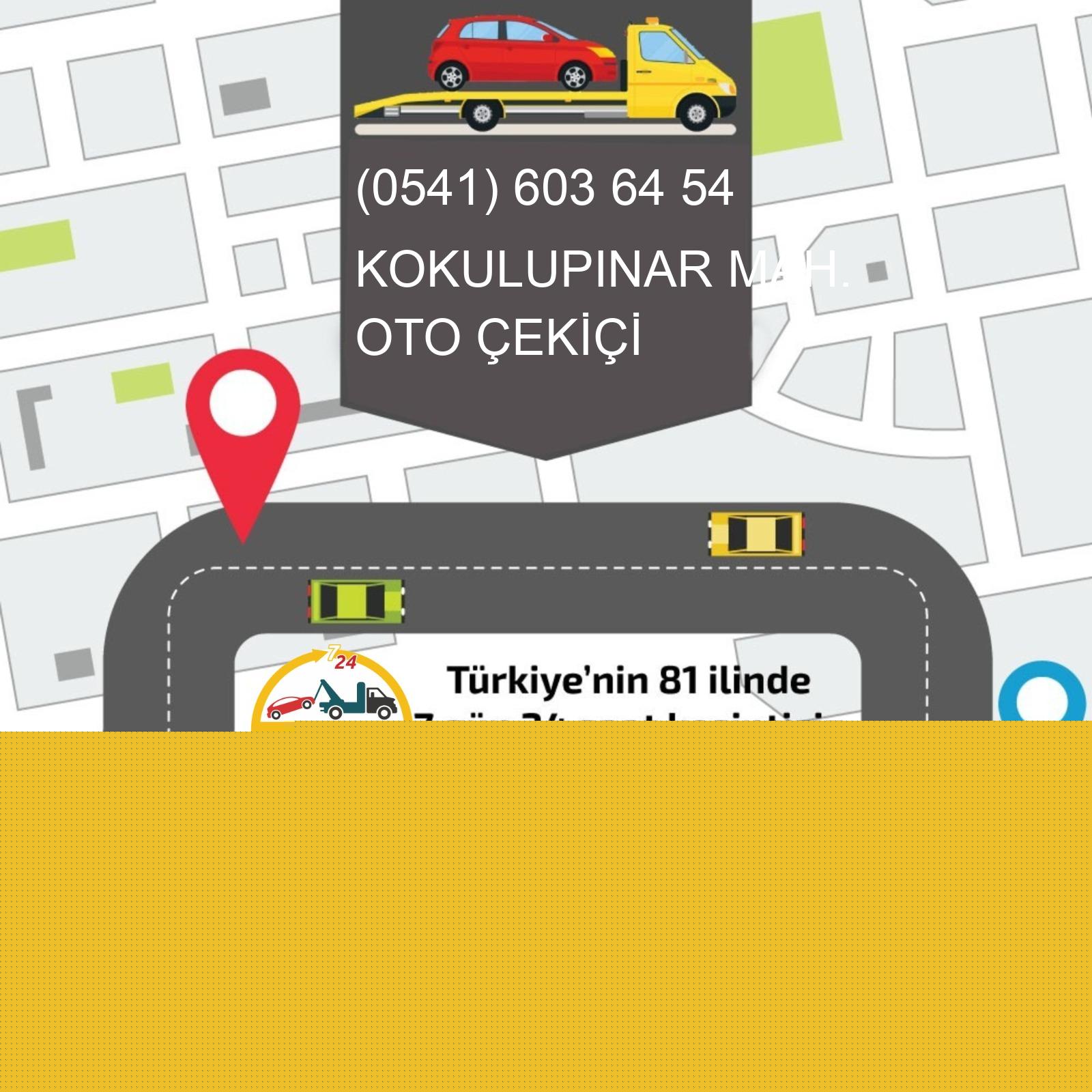 Kokulupınar  Oto Çekici